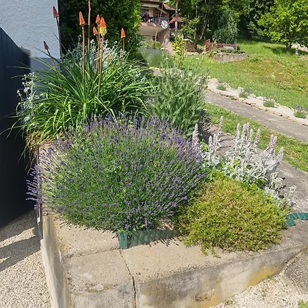 公寓 Meszi Vendeghaz