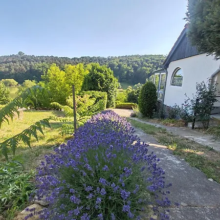 Meszi Vendeghaz 公寓 *